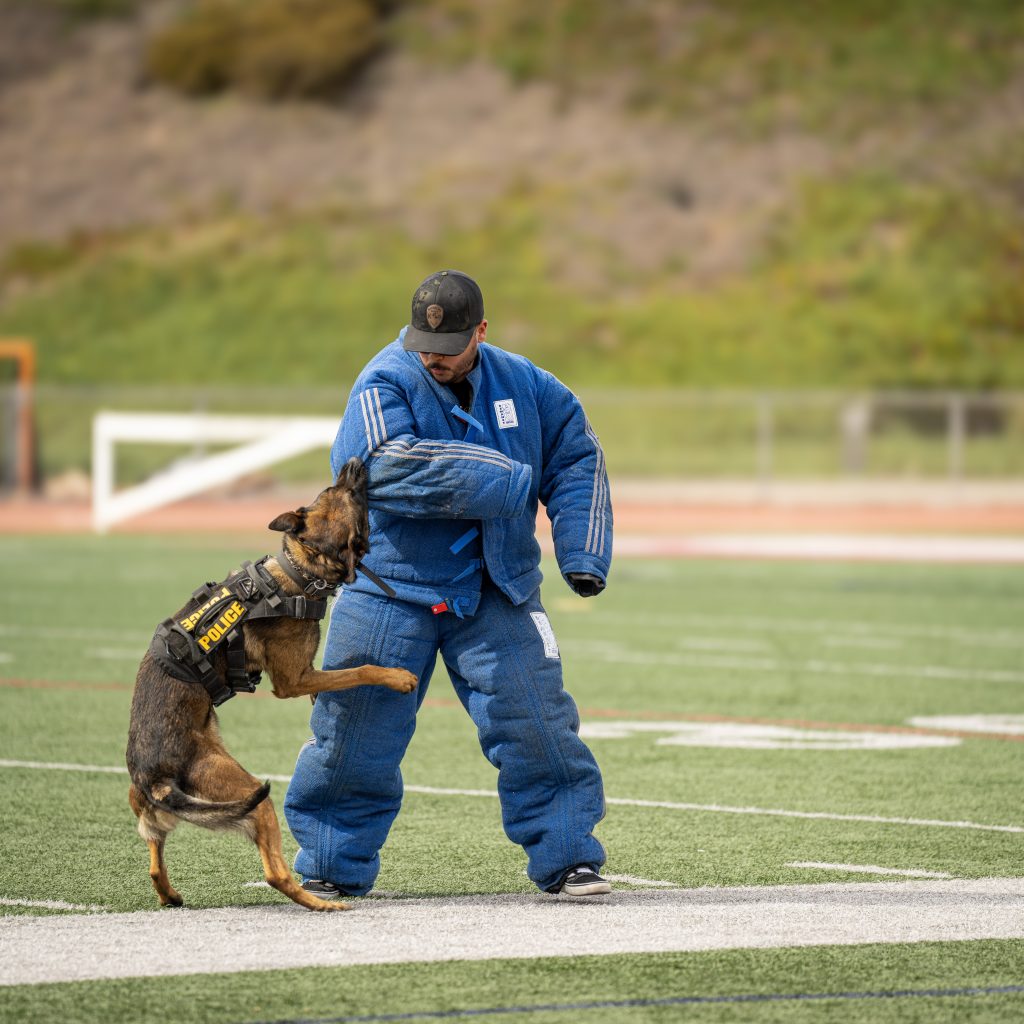 2025 LACPCA k9 show-1 (85)
