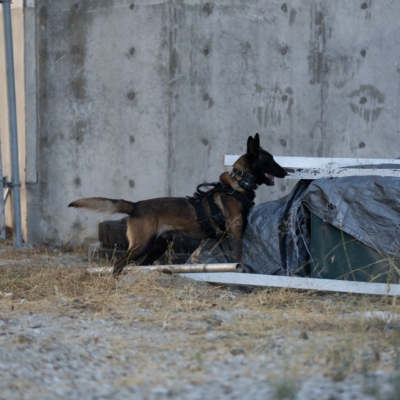 2025-k9-seminar (8)-resize